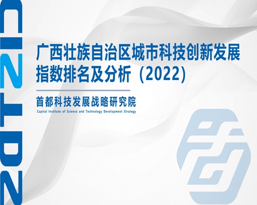 操嫩B【成果发布】广西壮族自治区城市科技创新发展指数排名及分析（2022）